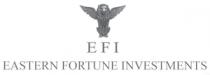 EASTERN FORTUNE INVESTMENTS EFI