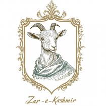 ZAR-E-KASHMIR