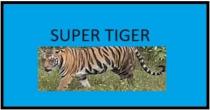 SUPER TIGER