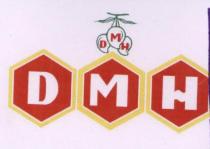 DMH