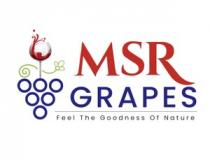 MSR GRAPES - Feel The Goodness of Nature