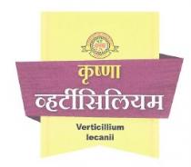 KRUSHNA VERTICILLIUM - Verticillium lecanii