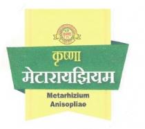 KRUSHNA METARHIZHIUM - Metarhizhium Anisopliae
