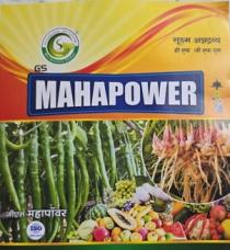 GS MAHAPOWER