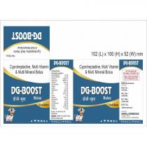 DG BOOST