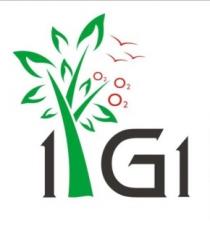 1 G1