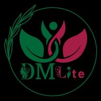 DM Lite