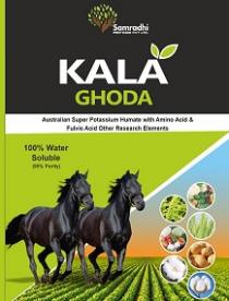 KALA GHODA