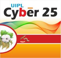 UIPL CYBER 25