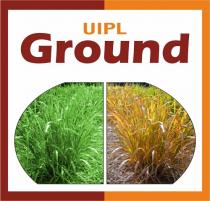 UIPL GROUND