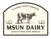 MSUN DAIRY