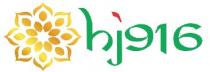 HJ 916