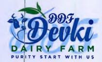 DDF DEVKI DAIRY FARM
