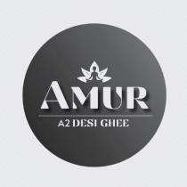 AMUR A2 DESI GHEE