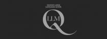 Q LLM