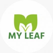 MY LEAF