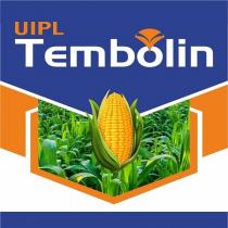 UIPL TEMBOLIN