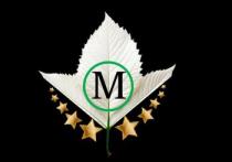 MS FAME