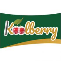 KOOLBERRY WITH AN ARTISTIC WORK