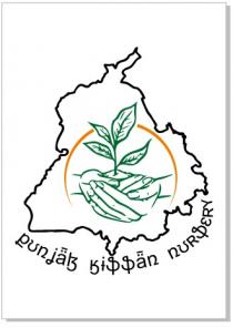 PUNJAB KISSAN NURSERY