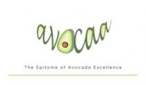 AVOCAA