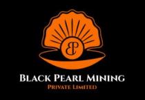 BLACK PEARL MINING PRIVATE LIMITED