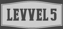 LEVVEL 5