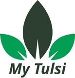 MY TULSI