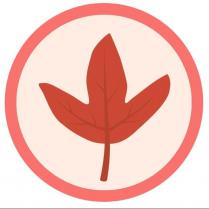 KOYO device autumn leaf within a circle