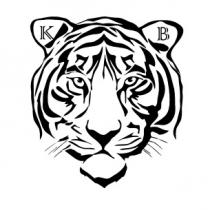 Image of a tiger