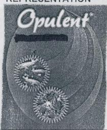 OPULENT