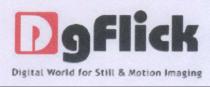 DGFLICK