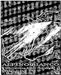 ALPINO BLANCO