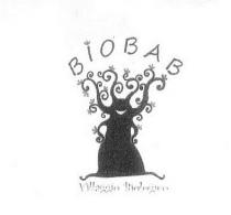 logo BIOBAB è rappresentato da un albero che ha la forma quasi umana, la chioma è caratterizzata da rami tondeggianti logo BIOBAB è rappresentato da un albero che ha la forma quasi umana, la chioma è caratterizzata da rami tondeggianti e fiori stilizzati,le braccia sono formate da due rami laterali che si appoggiano sul busto,al centro della chioma splende un sorriso,mentre le radici simboleggiano i piedi. Al di sotto la scritta VILLAGGIO BIOLOGICO. Il logo BIOBAB è rappresentato da un albero che ha la forma quasi umana, la chioma è caratterizzata da rami tondeggianti