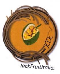 jcck artocarpus heterophyllus condensen jackfruititalia