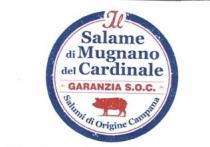 marchio è composto da una circonferenza esterna di colore blu di spessore maggiore, che simula il contorno di un marchio è composto da una circonferenza esterna di colore blu di spessore maggiore, che simula il contorno di un timbro, ed una più interna e sottile di colore rosso. Nella parte superiore del marchio insiste la scritta Il di colore rosso. All interno della circonferenza, nella zona superiore, la scritta Salame di Mugnano del Cardinale di colore blu font: Georgia bold . Segue il contorno interno della parte inferiore della circonferenza la dicitura Salumi di Origine Campana font: Georgia bold . Al di sopra di questa emerge la figura stilizzata di un maialino di colore rosso che simula l effetto timbro. Divide lo spazio interno la dicitura GARANZIA S.O.C. font Swis 721 Blk Bt di colore rosso, evidenziata da due sottili tratti superiore ed inferiore. Lateralmente a questa scritta due piccoli marchi OFFICINA SALUMI CAMPANI. Il marchio è composto da una circonferenza esterna di colore blu di spessore maggiore, che simula il contorno di un
