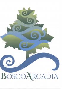 Bosco Arcadia Il logo del Bosco Arcadia è caratterizzato da una latifoglia ad alto fusto, alla cima sono presenti due Bosco Arcadia logo del Bosco Arcadia è caratterizzato da una latifoglia alto fusto, alla cima sono presenti due punte, scendendo la chioma si allarga evidenziando sul lato di destra 8 punte principali mentre su quello di sinistra sono presenti solamente 6. La chioma è sorretta da un tronco che termina in una spirale. Sotto alla spirale è presente la scritta del Bosco Arcadia. La chioma della pianta ha diverse tonalità di verde, chiaro e scuro che si alternano dall alto al basso e da destra a sinistra. Si parte dall alto con il colore verde scuro PANTONE P 140-6 C a destra e il chiaro PANTONE P 157-7 C a sinistra, appena sotto abbiamo il colore chiaro a destra e lo scuro a sinistra, sotto ancora il contrario e cosi via fino al tronco dove il colore chiaro torna ad essere sul lato di destra e lo scuro in quello di sinistra che dà il colore anche al tronco. Su tutta la pianta poi sono presenti spirali che partono dalla cima fino alla fine della chioma e in ultimo, alla base del tronco è presente una sesta Quadricromia C 85-M 50-Y 01-K 0 che fà da stacco tra la pianta e la scritta presente nel logo. Le spirali cambiano colore e grandezza dalla cima sono piccole e di colore verde chiaro P 157-7 C, man mano che scendiamo diventano di colore azzurrino fino al blu 299 C della sesta spirale. Anche queste sono simmetriche, il cerchiolino della spirale della cima è posto a destra, la seconda a sinistra e così via, tranne l ultima, la sesta, dove il cerchiolino della spirale parte da sinistra. Sotto la sesta spirale è presente la scritta Bosco Arcadia, le iniziali della scritta sono in maiuscolo con il carattere Cinzel Bold, mentre il resto della scritta è in minuscolo Cinzel Regular. La scritta è in stampatello, le iniziali hanno un spessore maggiore e sono di colore verde PANTONE P 140-6 C, mentre le altre lettere, non hanno spessore e sono di colore blu Quadricromia C 85-M 50-Y 01- K0 . Bosco Arcadia Il logo del Bosco Arcadia è caratterizzato da una latifoglia ad alto fusto, alla cima sono presenti due