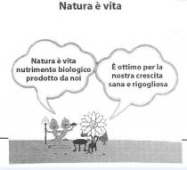 NATURA E VITA. E illustrato da due lombrichi intrecciati tenendo tra le mani uno una pala e l altro un vassoio, NATURA E VITA. E illustrato da due lombrichi intrecciati tenendo tra le mani uno una pala e l altro un vassoio, a fianco ai lombrichi e rappresentato un tavolino con tre gambe e una sedia con seduto un fiore rappresentato da una margherita con una forchetta in una delle foglie, tutto posizionato su un prato. Sopra i lombrichi e il fiore raffigurano due nuvolette, una con la scritta natura è vita nutrimento biologico prodotto da noi, l altra con la scritta è ottimo per la nostra crescita sana e rigogliosa. NATURA E VITA. E illustrato da due lombrichi intrecciati tenendo tra le mani uno una pala e l altro un vassoio