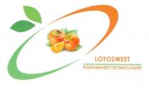 lotosweet postharvest loti foglie;in qale technologies