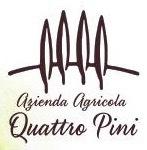 IL MARCHIO CONSISTE NELLE PAROLE AZIENDA AGRICOLA QUATTRO PINI E NEL DISEGNO DI 4 PINI NEL CUI RETRO SI TROVA MARCHIO CONSISTE NELLE PAROLE AZIENDA AGRICOLA QUATTRO PINI E NEL DISEGNO DI 4 PINI NEL CUI RETRO SI TROVA UNA LINEA TONDEGGIANTE SIMBOLEGGIANTE UNA COLLINA. IL MARCHIO CONSISTE NELLE PAROLE AZIENDA AGRICOLA QUATTRO PINI E NEL DISEGNO DI 4 PINI NEL CUI RETRO SI TROVA