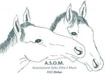 A.S.O.M Associazione Salto Oltre il Muro ASD Onlus
