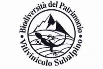 marchio è circolare e al suo interno sono disposte le scritte Biodiversità del Patrimonio inscritta in un cerchio e marchio è circolare e al suo interno sono disposte le scritte Biodiversità del Patrimonio inscritta in un cerchio e posta al di sopra con un andamento orario, mentre la scritta Vitivinicolo Subalpino anch essa inscritta in un cerchio posta al di sotto ha un andamento antiorario; entrambe le scritte sono con le iniziali maiuscole con carattere Times, divise al centro orizzontalmente da due tondi. All interno di un cerchio con sfondo bianco è raffigurata, sulla parte superiore, un immagine stilizzata di un profilo di montagne ombreggiate di colore nero nella parte in prospettiva e separata da una linea tondeggiante, ripetuta più volte a ricordare l andamento collinare, attraversate da una figura in nero fortemente stilizzata di un geco. Il marchio è circolare e al suo interno sono disposte le scritte Biodiversità del Patrimonio inscritta in un cerchio e