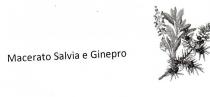 MACERATO SALVIA E GINEPRO