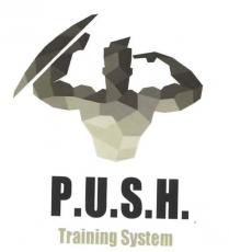 P.U.S.H. TRAINING SYSTEM il simbolo e costituito da pittogramma e logotipo. il primo e un busto con sfaccettature poligonali simboleggianti P.U.S.H. TRAINING SYSTEM simbolo e costituito da pittogramma e logotipo. il primo e un busto con sfaccettature poligonali simboleggianti la natura soggettiva del sistem di allenamento. la figura esegue una posa tipica del bodybuilding contraendo i bicipiti. il braccio a destra, contraendosi, punta il dito in direzione dell intelletto. quello a sinistra impugna uno scudo visto di traverso mentre si contrae. il testo sottostante prevede l uso del font impact-regular, di tipo sans serif. P.U.S.H. TRAINING SYSTEM il simbolo e costituito da pittogramma e logotipo. il primo e un busto con sfaccettature poligonali simboleggianti