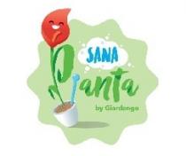 SANA Pianta by Giardango