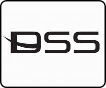 DSS