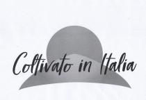 IL MARCHIO E CONTRADDISTINTO DA UNA FIGURA STILIZZATA SIMBOLEGGIANTE UNA COLLINA ED UN SOLE ED IL NOME COLTIVATO IN ITALIA MARCHIO E CONTRADDISTINTO DA UNA FIGURA STILIZZATA SIMBOLEGGIANTE UNA COLLINA ED UN SOLE ED IL NOME COLTIVATO IN ITALIA SOTTO. IL MARCHIO E CONTRADDISTINTO DA UNA FIGURA STILIZZATA SIMBOLEGGIANTE UNA COLLINA ED UN SOLE ED IL NOME COLTIVATO IN ITALIA
