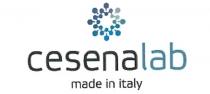 Cesenalab made in italyIl logo è composto da un simbolo e dalla scritta cesenalab in font Etelka Light Pro minuscolo, Cesenalab made in italy logo è composto da un simbolo e dalla scritta cesenalab in font Etelka Light Pro minuscolo, sotto la scritta compare la dicitura made in italy nello stesso font minuscolo. Il logo nel complessivo è strutturato in modo centrale. Il simbolo rappresenta un reticolo formato da 24 esagoni di dimensioni e colori diversi che, collegandosi l uno con l altro, si aprono verso l esterno crescendo e creando una forma unica e compatta, ma sempre mantenendo la loro singola identità. Cesenalab made in italyIl logo è composto da un simbolo e dalla scritta cesenalab in font Etelka Light Pro minuscolo