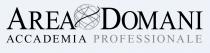 Marchio figurativo con elementi verbali costituito dagli elementi verbali stilizzati AREA DOMANI ACCADEMIA PROFESSIONALE posti gli uni al di sopra Marchio figurativo con elementi verbali costituito dagli elementi verbali stilizzati AREA DOMANI ACCADEMIA PROFESSIONALE posti gli uni al di sopra degli altri. In particolare gli elementi verbali AREA DOMANI sono raffigurati in carattere stampatello minuscolo ed in colore nero eccezione delle lettere iniziali A e D raffigurate in formato maiuscolo. Gli elementi verbali ACCADEMIA PROFESSIONALE sono raffigurati in carattere stampatello minuscolo e rispettivamente in colore nero l elemento ACCADEMIA, in colore grigio l elemento PROFESSIONALE . marchio è altresì costituito dall immagine stilizzata di un globo formato da un insieme di linee curve e raffigurato nei colori bianco, grigio e nero. Il suddetto elemento figurativo è posto tra gli elementi verbali AREA e DOMANI. Il marchio insiste su sfondo di colore bianco. Marchio figurativo con elementi verbali costituito dagli elementi verbali stilizzati AREA DOMANI ACCADEMIA PROFESSIONALE posti gli uni al di sopra