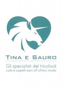 marchio consiste nella scritta Tina e Sauro gli specialisti del tricolook cute e capelli sani all ultima moda. Le parole marchio consiste nella scritta Tina e Sauro gli specialisti del tricolook cute e capelli sani all ultima moda. Le parole tina e sauro sono scritte in grassetto, il marchio è rappresentato da un cuore stilizzato in verde con all interno il viso di un unicorno. Tina e Sauro figurativo